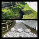 New Phototastic Collage.jpg